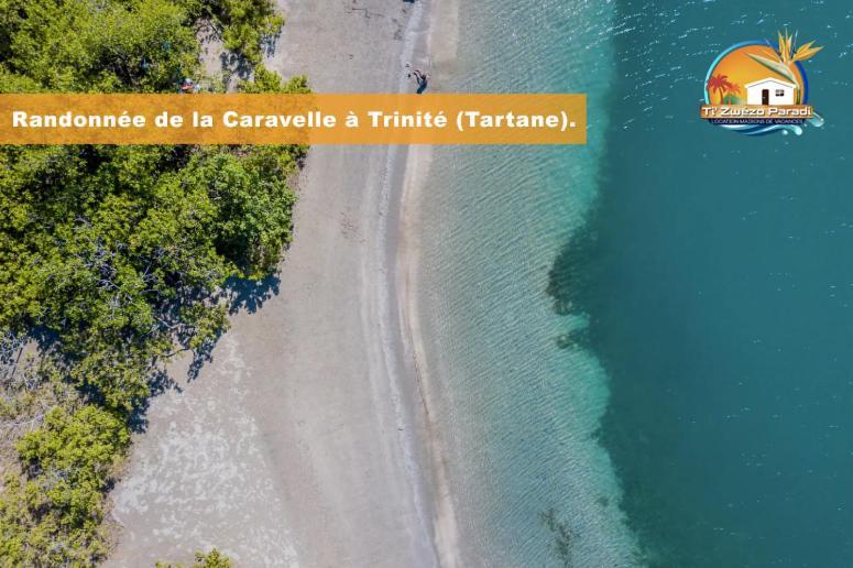 F3 Hibiscus - Piscine Chauffee - Vue Mer - 9 Min De La Plage - Ti Zwezo Paradi لا ترينيت المظهر الخارجي الصورة