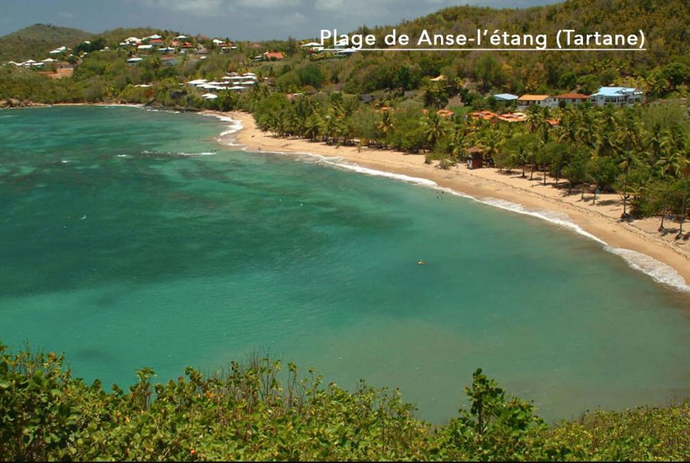 F3 Hibiscus - Piscine Chauffee - Vue Mer - 9 Min De La Plage - Ti Zwezo Paradi لا ترينيت المظهر الخارجي الصورة