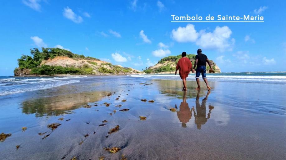 F3 Hibiscus - Piscine Chauffee - Vue Mer - 9 Min De La Plage - Ti Zwezo Paradi لا ترينيت المظهر الخارجي الصورة