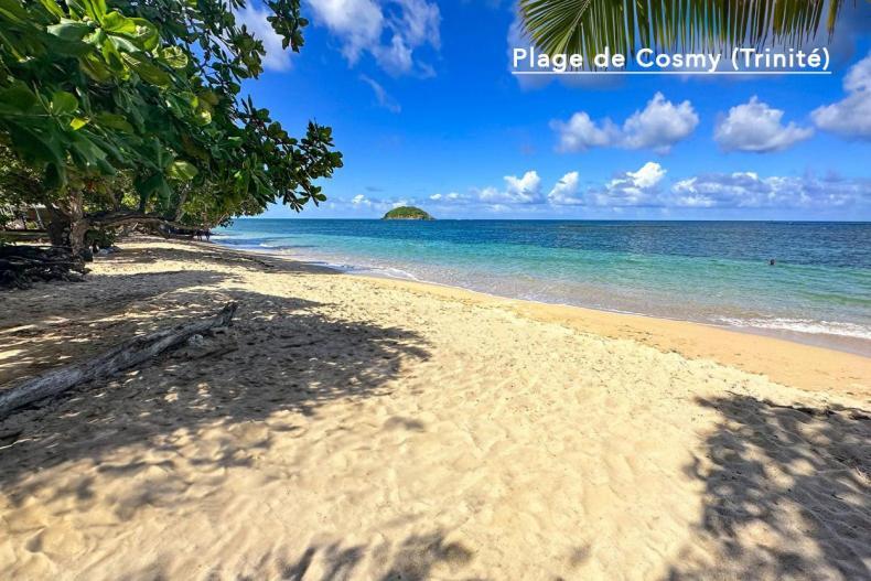 F3 Hibiscus - Piscine Chauffee - Vue Mer - 9 Min De La Plage - Ti Zwezo Paradi لا ترينيت المظهر الخارجي الصورة
