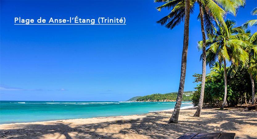 F3 Hibiscus - Piscine Chauffee - Vue Mer - 9 Min De La Plage - Ti Zwezo Paradi لا ترينيت المظهر الخارجي الصورة