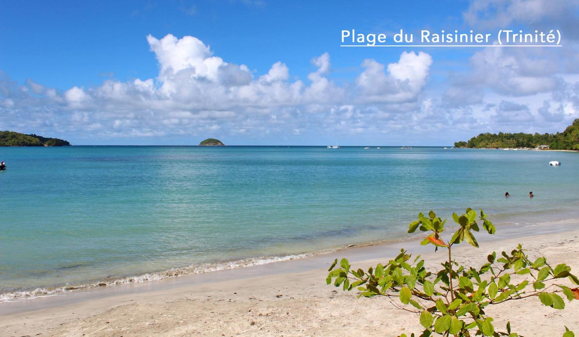 F3 Hibiscus - Piscine Chauffee - Vue Mer - 9 Min De La Plage - Ti Zwezo Paradi لا ترينيت المظهر الخارجي الصورة